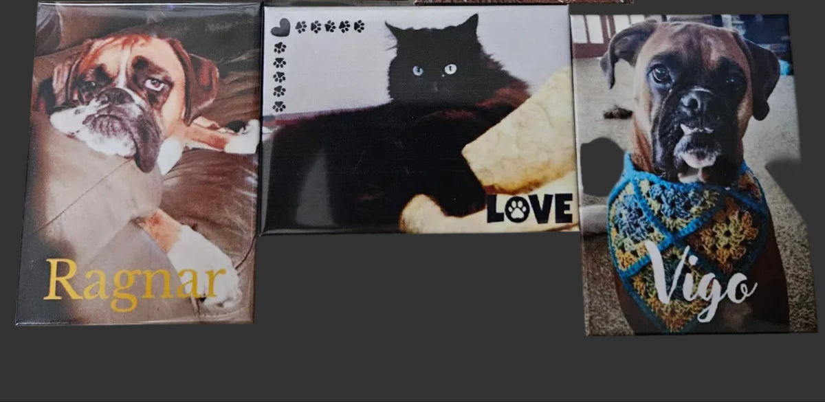 Custom Photo Magnets (from your phone)