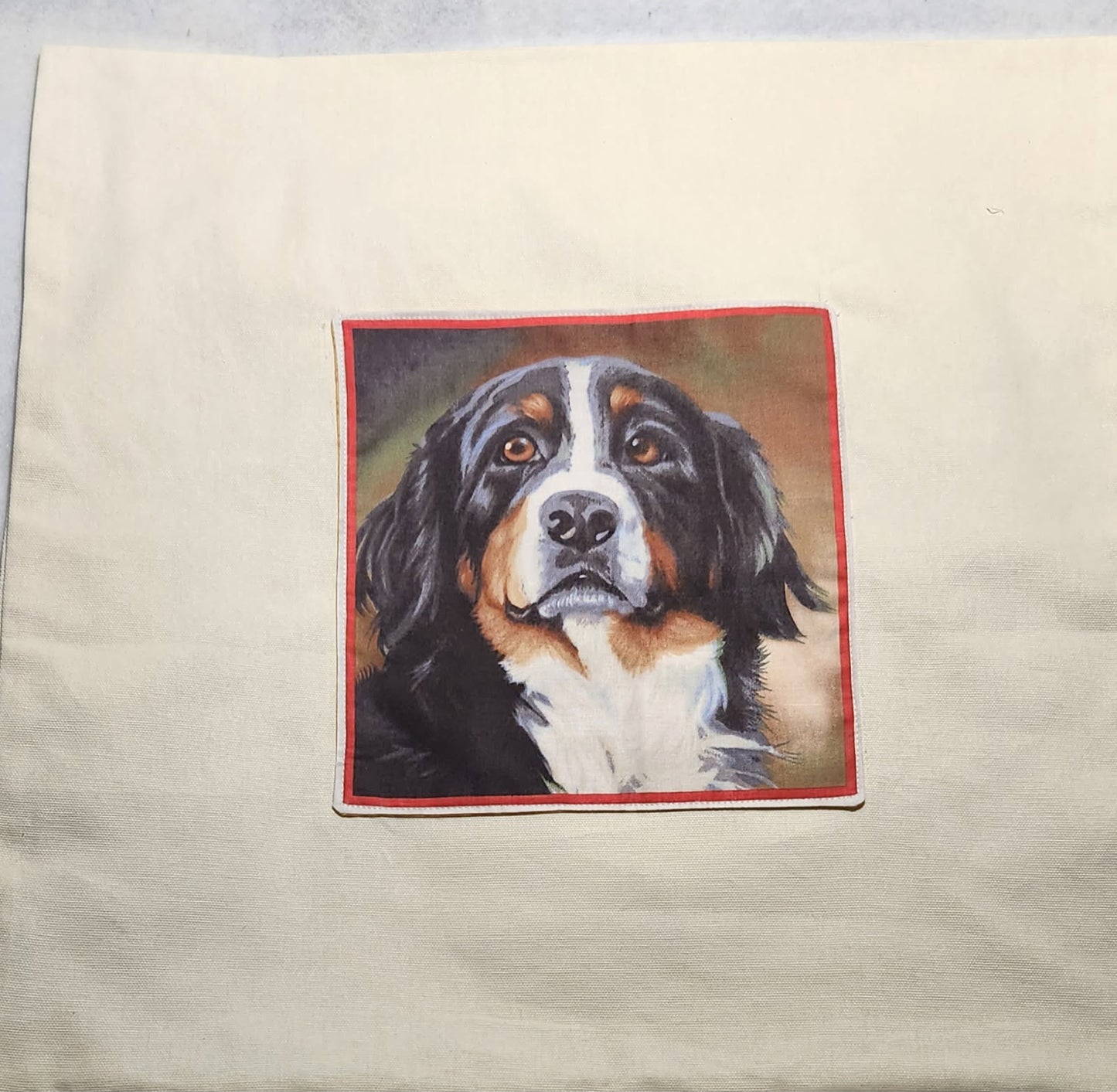 Pillow - Decor with pockets