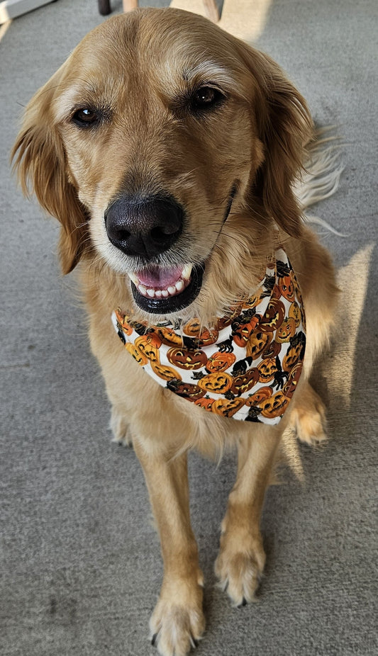 Everything Golden Blog: Market Day, Halloween Fun, and Bark Bash Success!