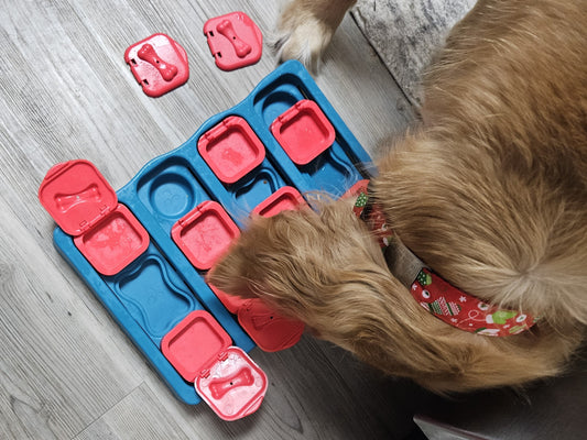 Beating Boredom Indoors: Engaging Toys to Keep Your Dog Happy