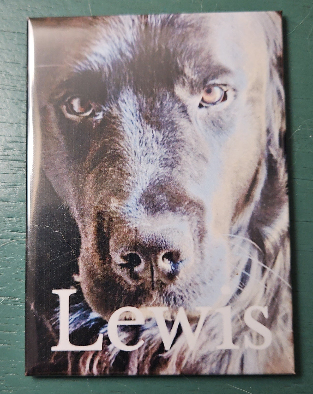 Custom Photo Magnets (from your phone)