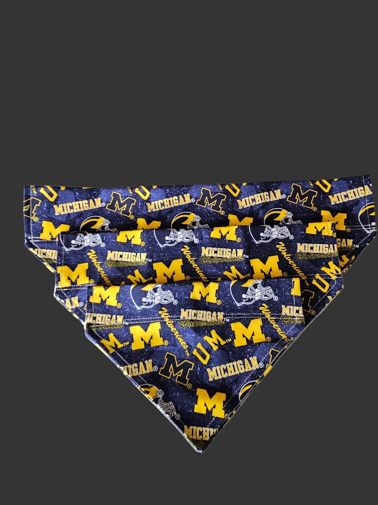 Bandana- Everyday and Sports