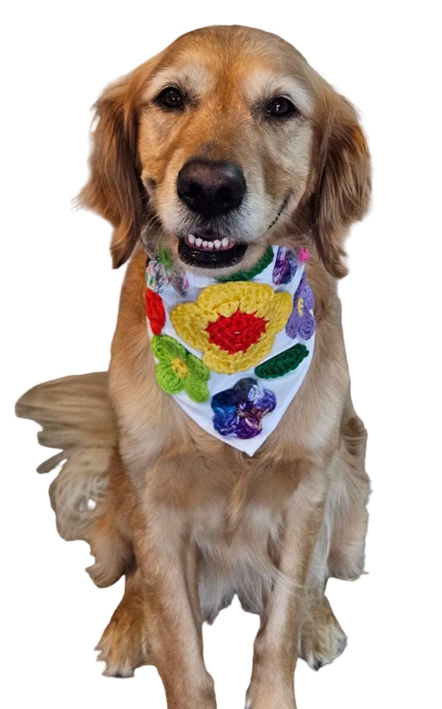 Crocheted- Floral Design