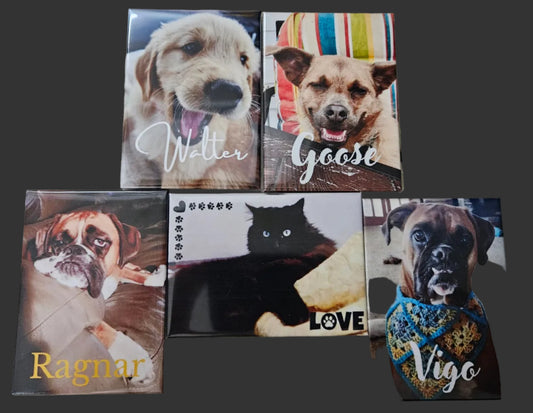 Custom Photo Magnets (from your phone)