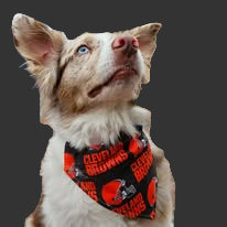 Bandana- Everyday and Sports