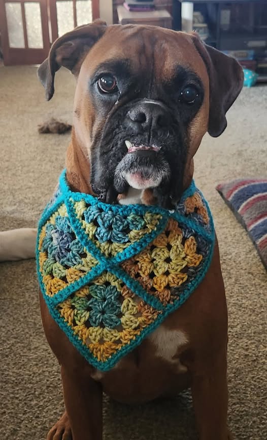 Crochet Bandana- Granny Square