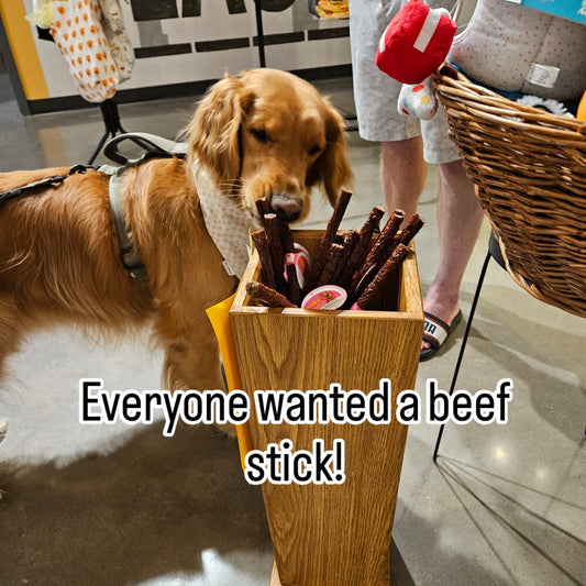 Chew Stick – Beef Blend (32”+ of Meaty Goodness!)