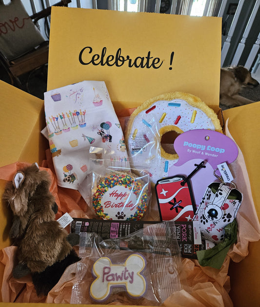 "Birthday Box" - Large - Celebrate in Style