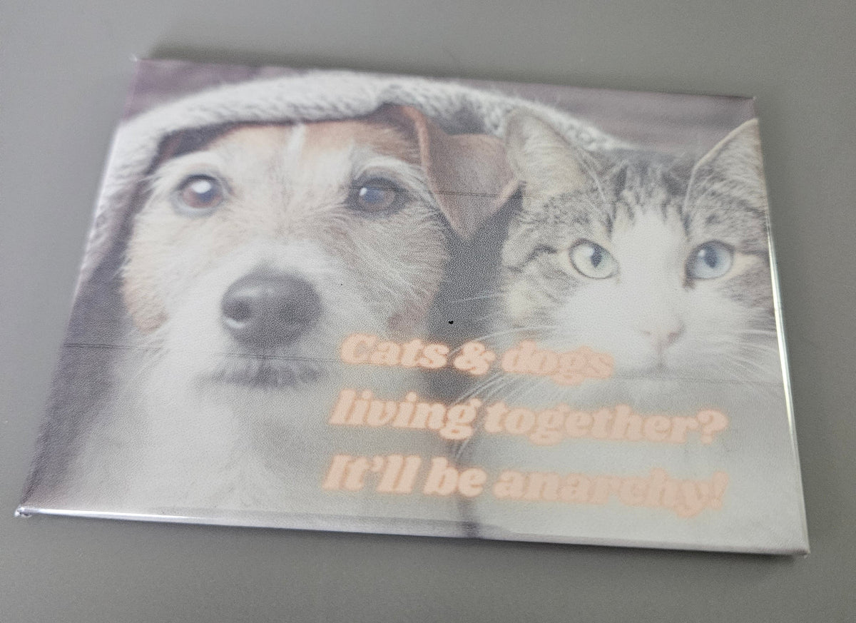 Magnets- Dog Phrases