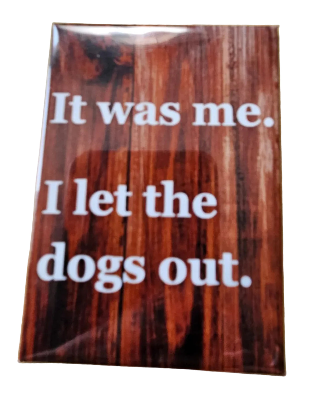 Magnets- Dog Phrases