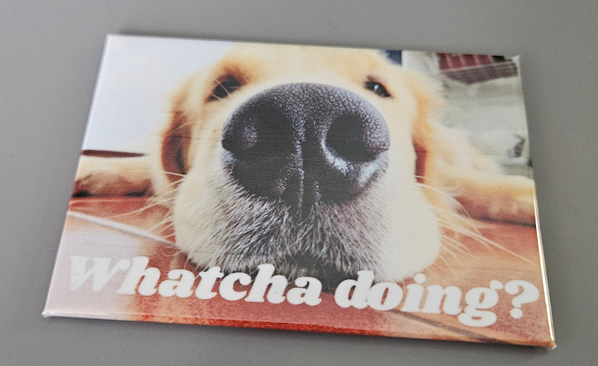 Magnets- Dog Phrases