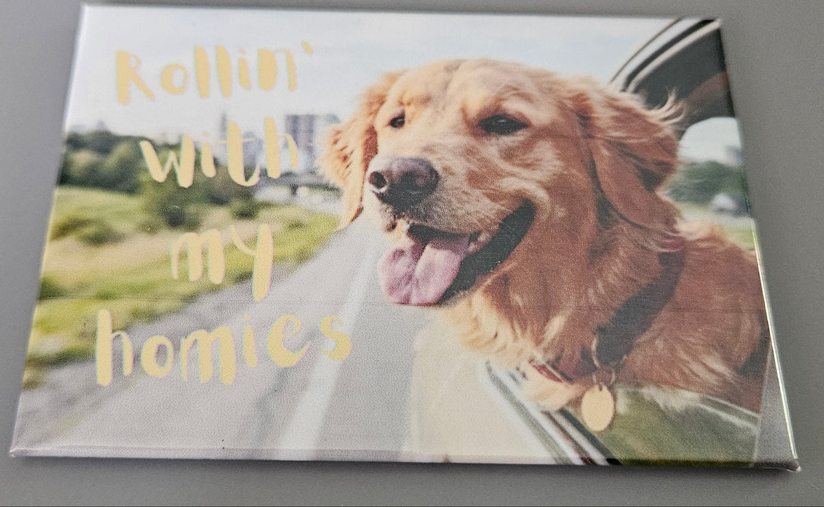 Magnets- Dog Phrases