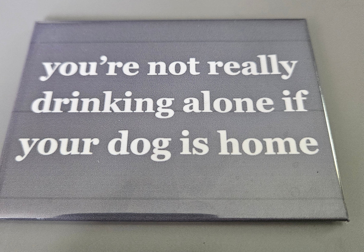 Magnets- Dog Phrases